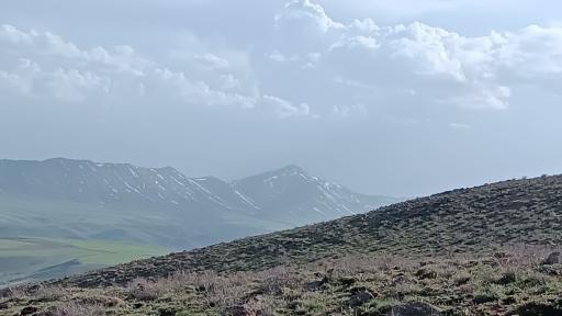 عکس کانی سفید