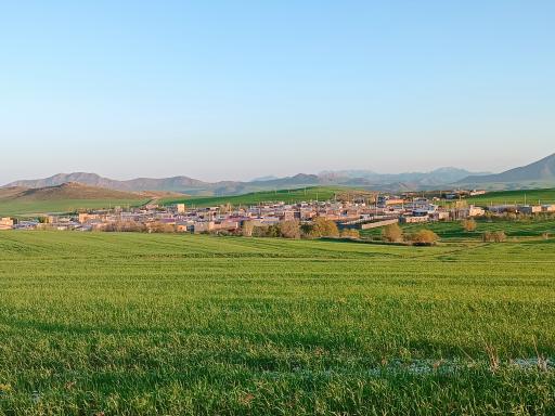 عکس کانی سفید