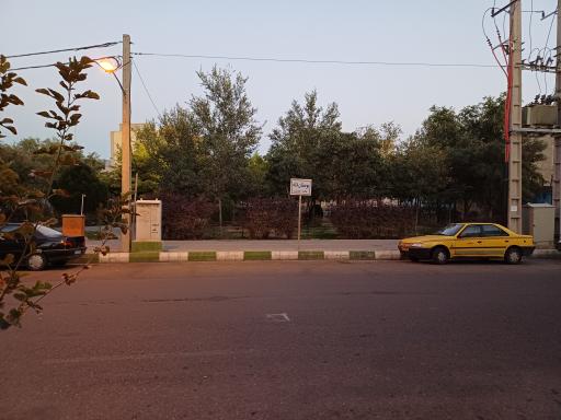 عکس بوستان لاله