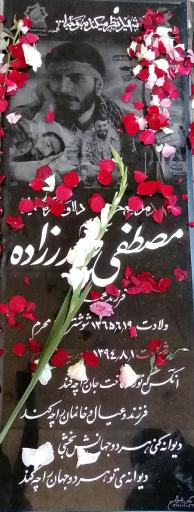 عکس مزار شهید مصطفی صدرزاده