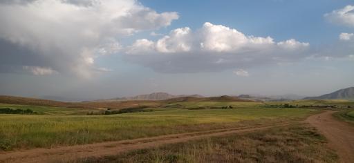 عکس کانی سفید