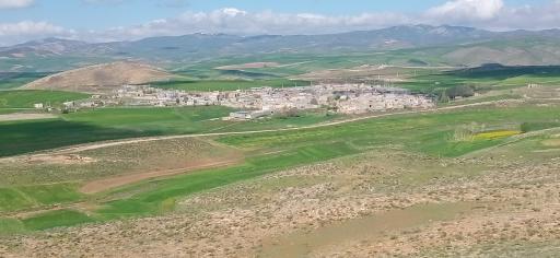 عکس کانی سفید