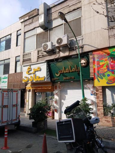 عکس مرغ سعادت