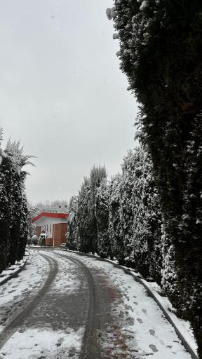 عکس مرکز تئاتر و نمایش عروسکی کانون پرورشی کودکان و نوجوانان