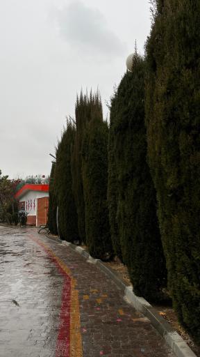عکس مرکز تئاتر و نمایش عروسکی کانون پرورشی کودکان و نوجوانان