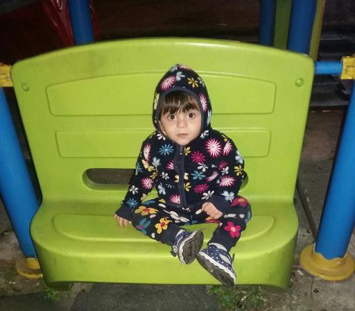 عکس پارک امیری (کامرانی)