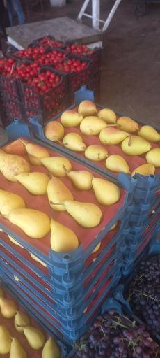 عکس میوه فروشی گل اندام