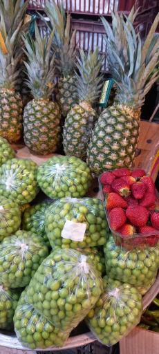 عکس میوه فروشی گل اندام