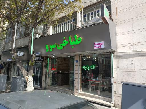 عکس طباخی سرو