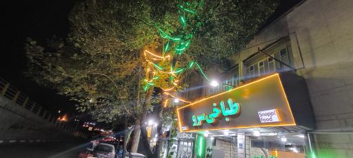 عکس طباخی سرو