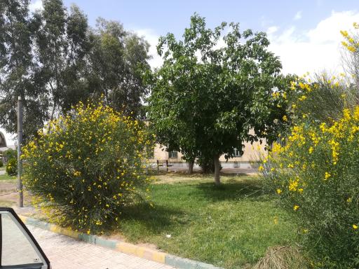 عکس بوستان سپهبد شهید حاج قاسم سلیمانی