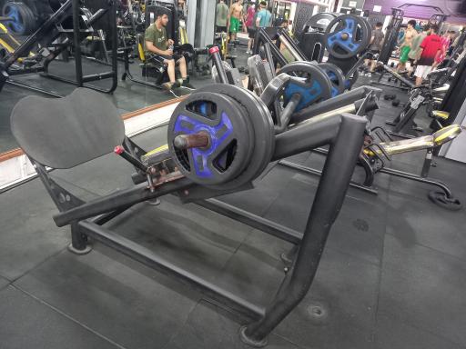 عکس باشگاه بدنسازی برادران هاشمی