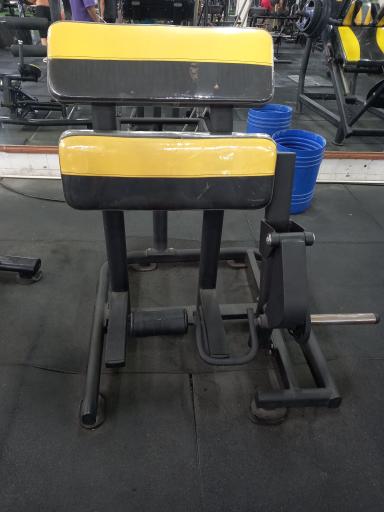 عکس باشگاه بدنسازی برادران هاشمی