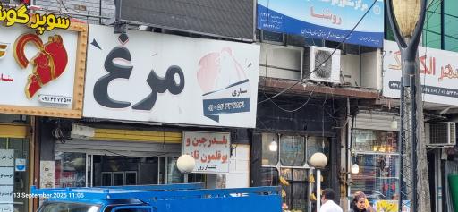 عکس مرغ گوشت ستاری