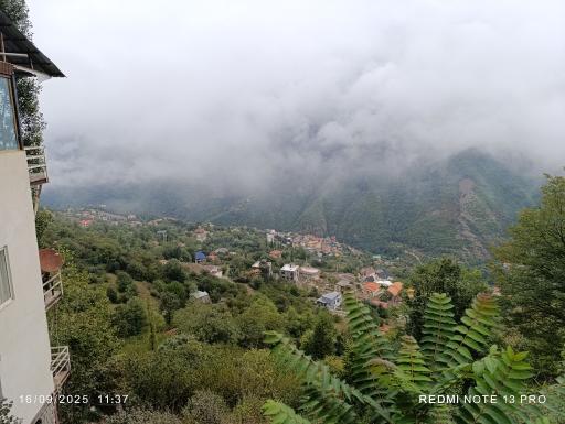 عکس جنگل‌های دوهزار