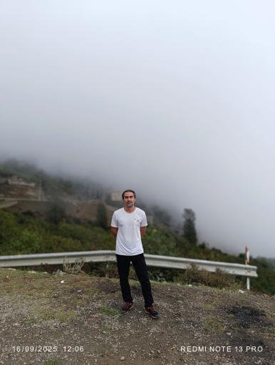 عکس جنگل‌های دوهزار