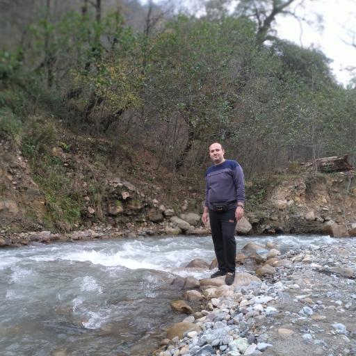 عکس جنگل‌های دوهزار