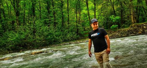 عکس جنگل‌های دوهزار