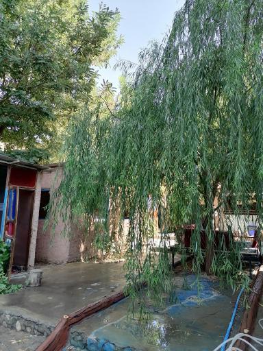 عکس کافه تُرنج