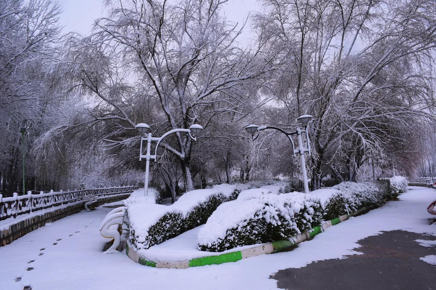 عکس پارک جزیره