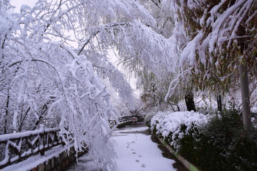 عکس پارک جزیره
