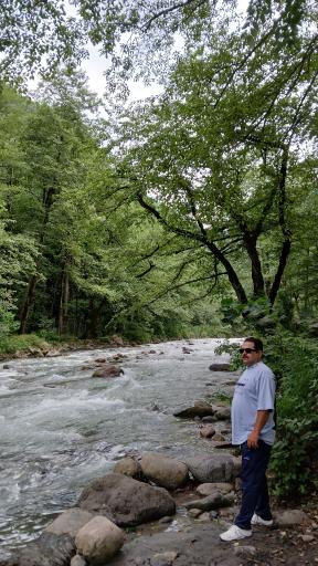 عکس جنگل‌های دوهزار