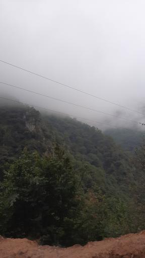 عکس جنگل‌های دوهزار