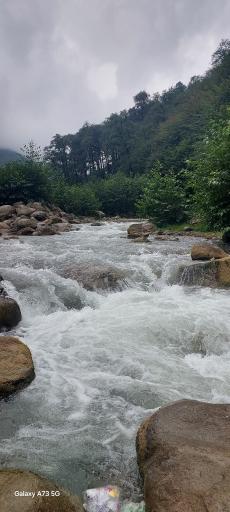 عکس جنگل‌های دوهزار