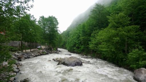 عکس جنگل‌های دوهزار