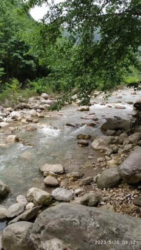 عکس جنگل‌های دوهزار