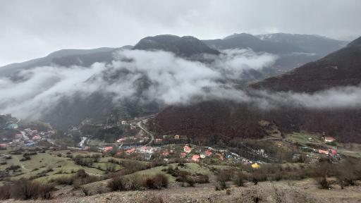 عکس جنگل‌های دوهزار