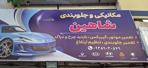 عکس مکانیکی شاهین
