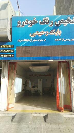 عکس تشخیص رنگ خودرو بابک رحیمی