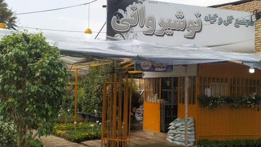 عکس مجتمع گل و گیاه نوشیروانی 