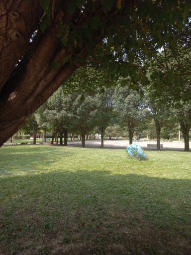 عکس بوستان بسیج