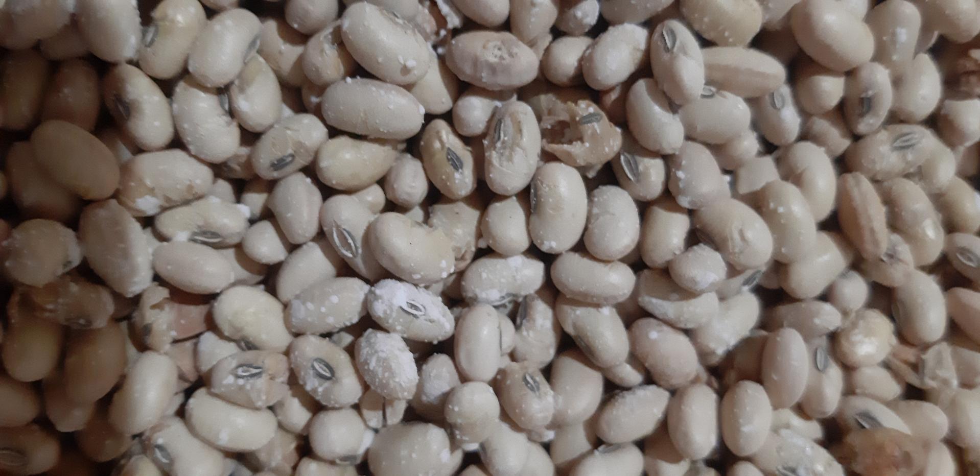 عکس کارگاه سویای آجیلی خداپرستی 