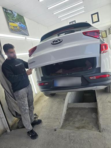 کارشناسی و تشخیص رنگ ارسلان