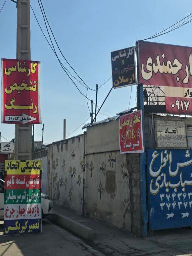 عکس کارشناسی و تشخیص رنگ ارسلان