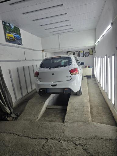 عکس کارشناسی و تشخیص رنگ ارسلان