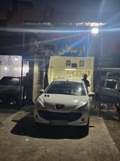 عکس کارشناسی و تشخیص رنگ ارسلان