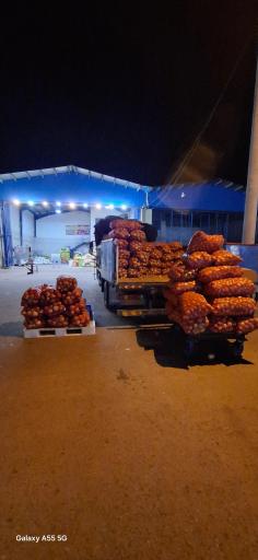 عکس بارفروش برادران لطفی