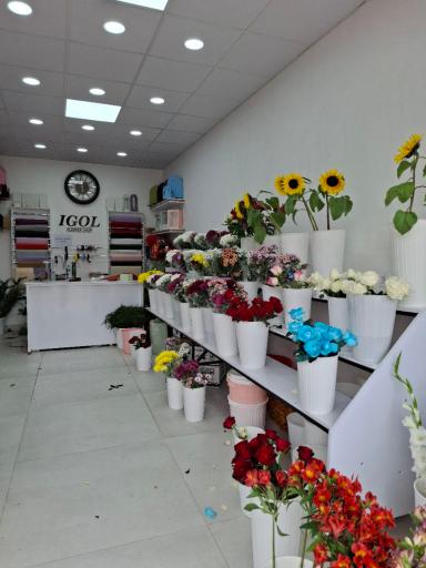 گل فروشی آی گل 