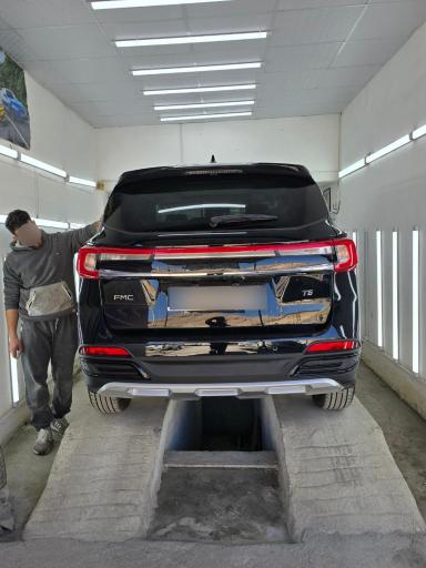 عکس کارشناسی و تشخیص رنگ ارسلان