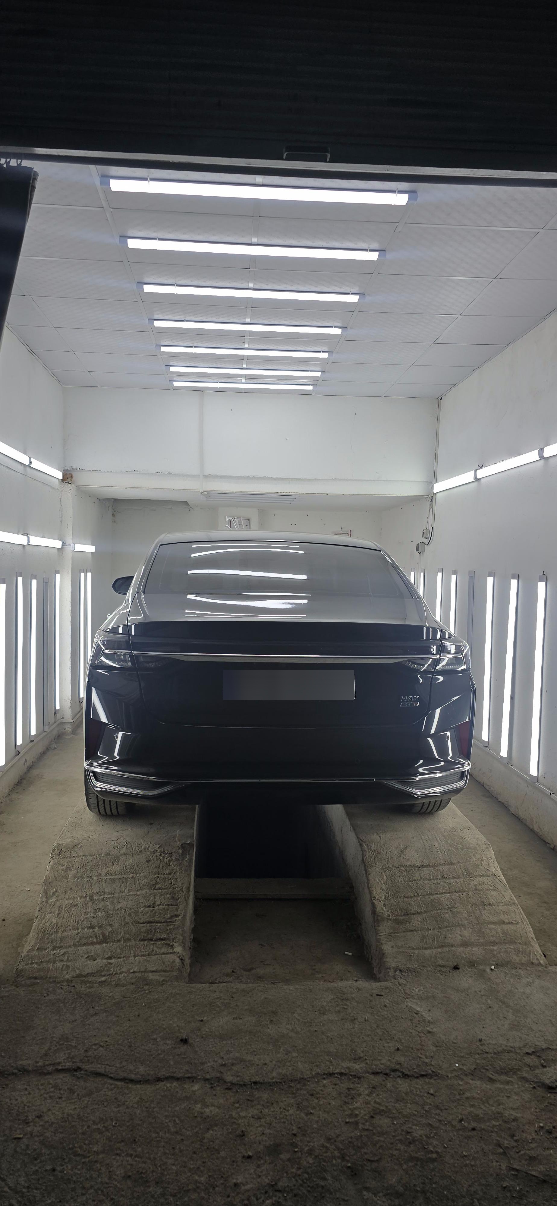 عکس کارشناسی و تشخیص رنگ ارسلان