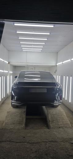 عکس کارشناسی و تشخیص رنگ ارسلان