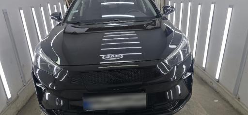 عکس کارشناسی و تشخیص رنگ ارسلان