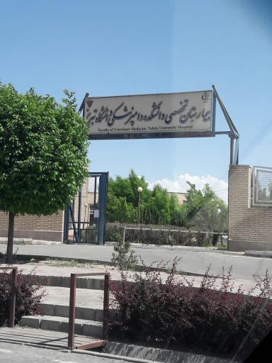 عکس بیمارستان تخصصی دانشکده دامپزشکی دانشگاه تبریز