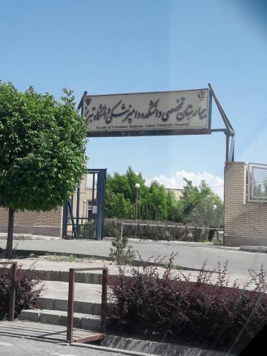 بیمارستان تخصصی دانشکده دامپزشکی دانشگاه تبریز