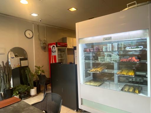 عکس کبابی شاندیز