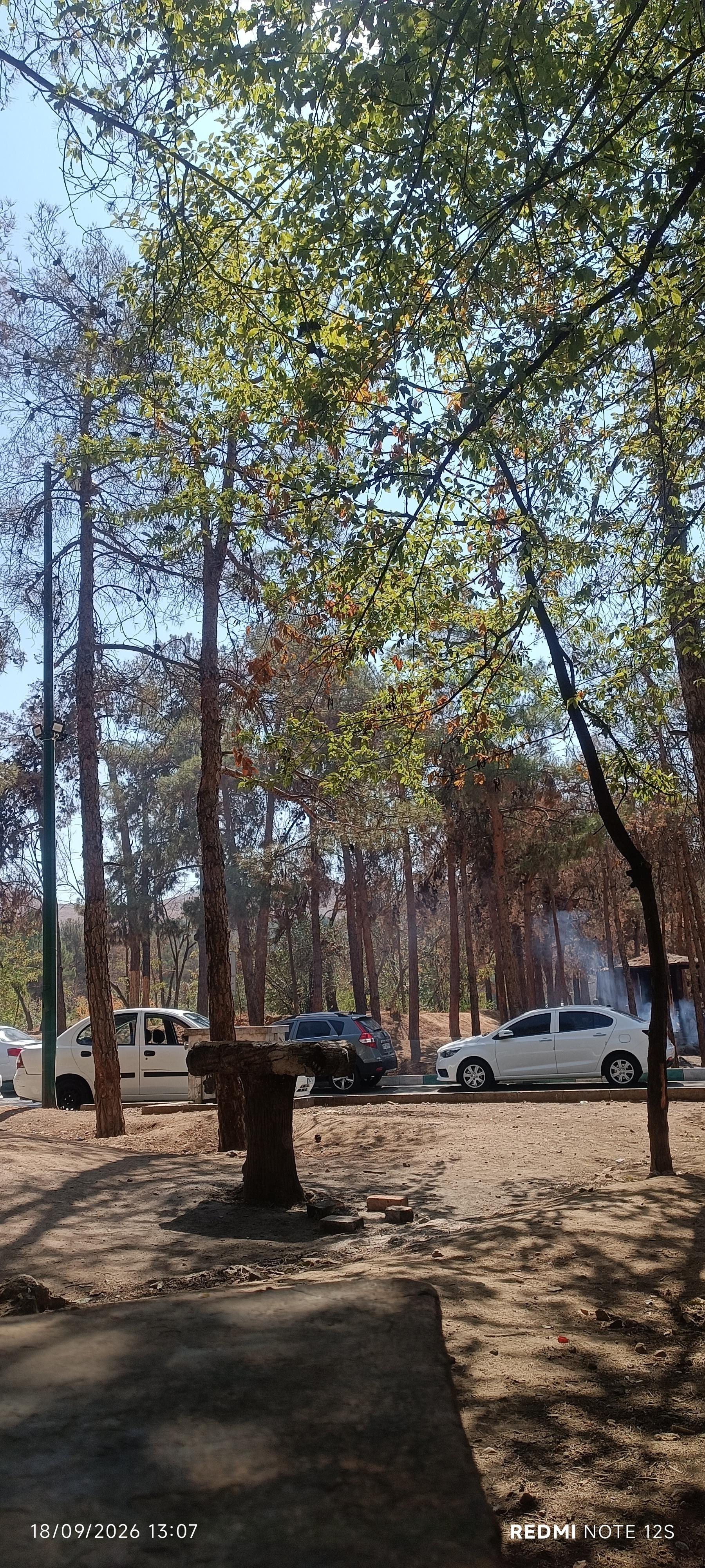 عکس پارک سرخه